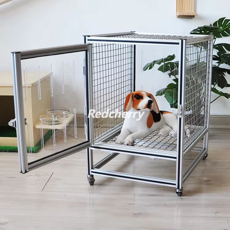 微信图片_20260421141039_174_268